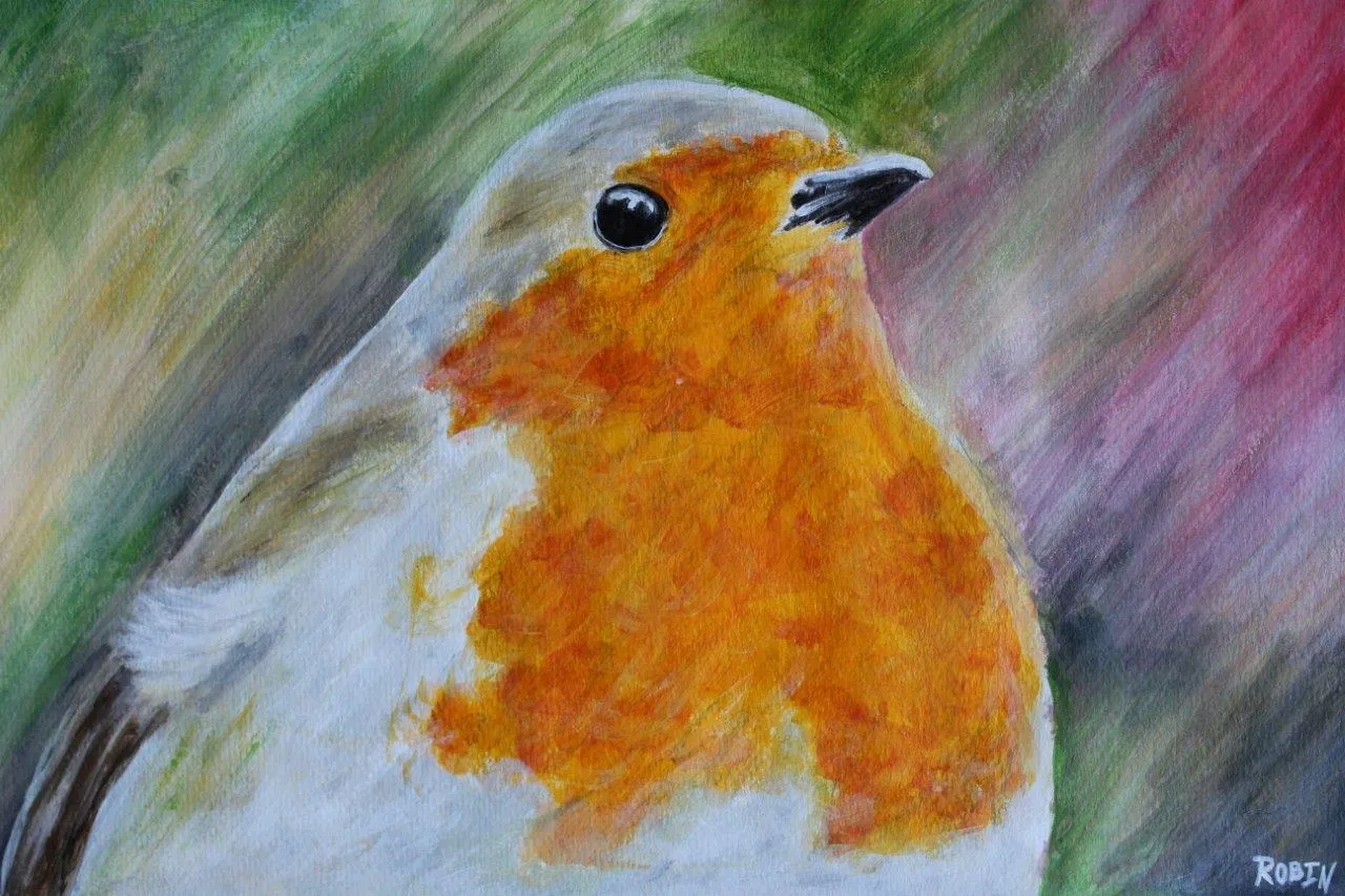 Wild robin, painting